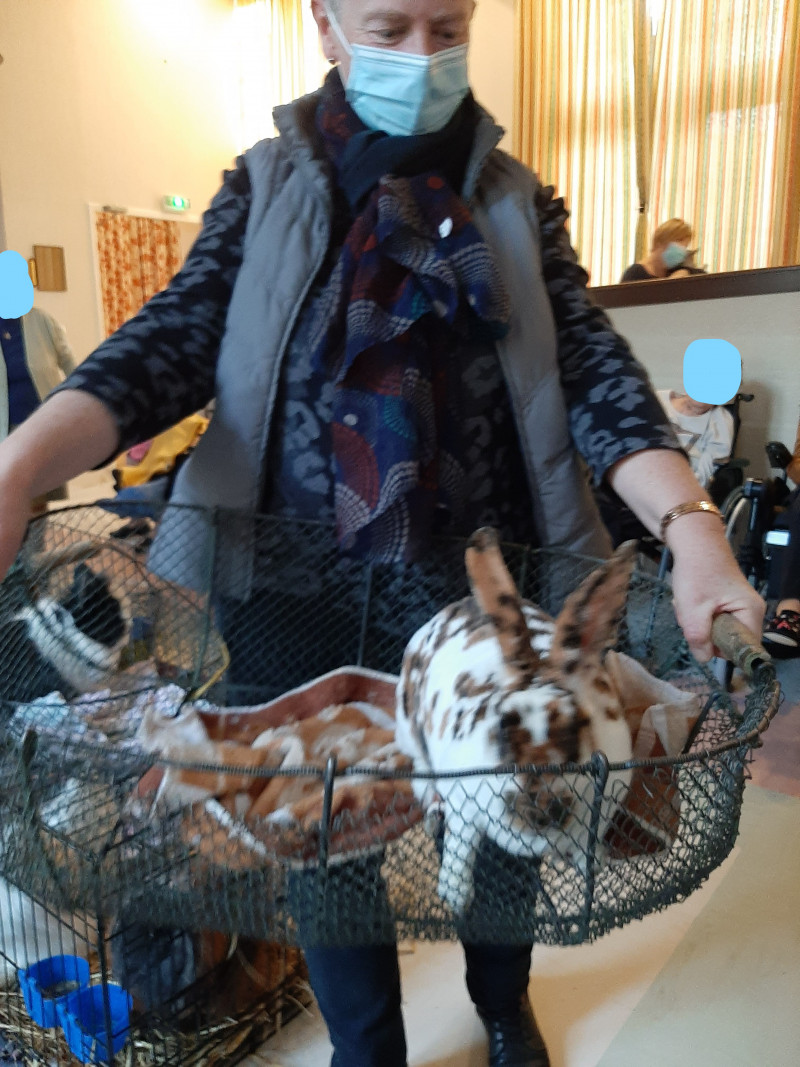 ZOOTHERAPIE