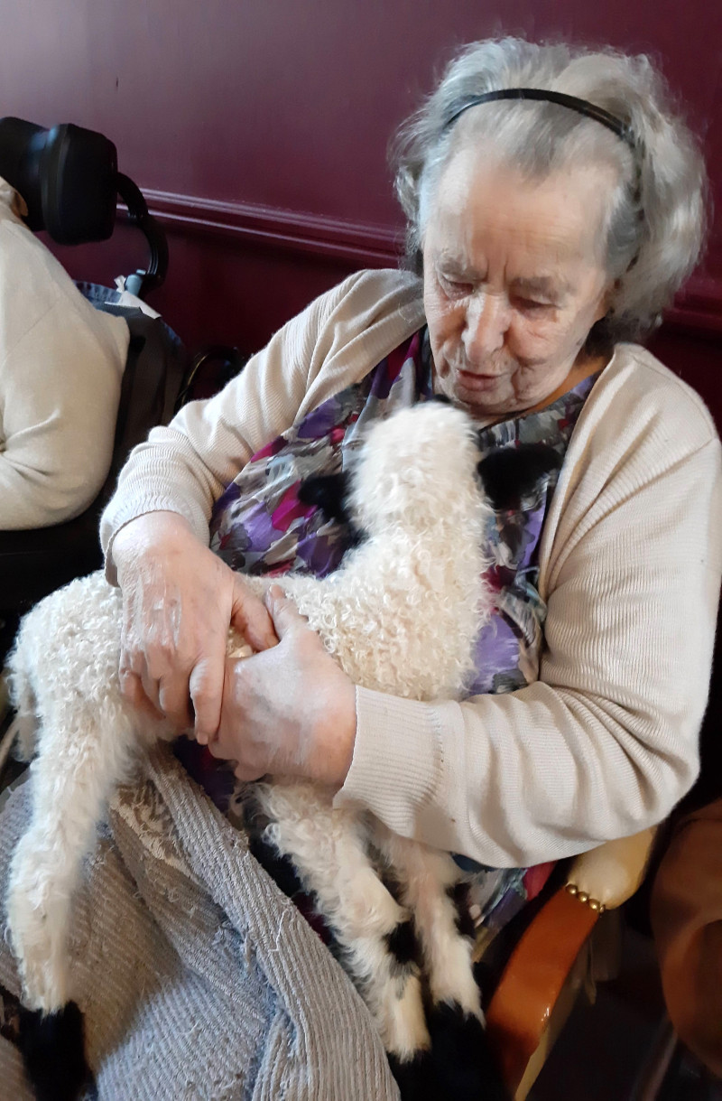 LA MEDIATION ANIMALE A NOTRE EHPAD : Un moment de tendresse